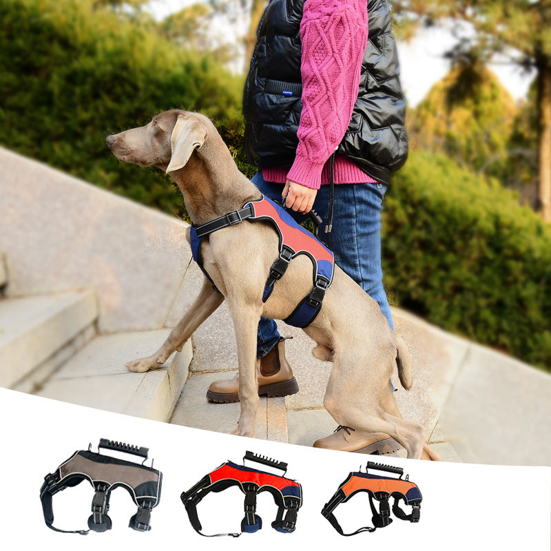 Hand Holding Rope Tactical Dog Vest