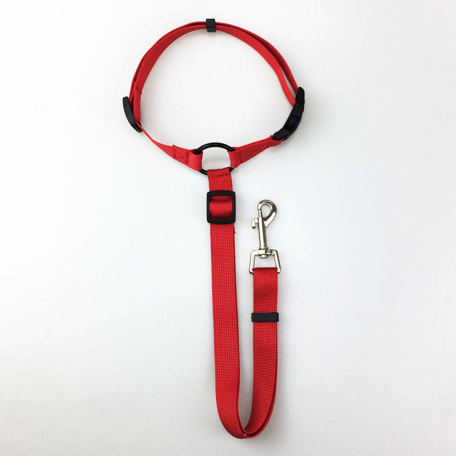 Dog Safety Leash