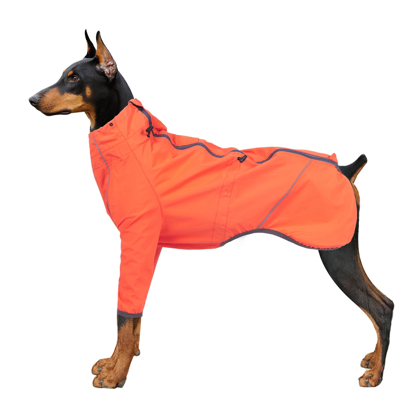 Traction Hole Reflective Dog Coat