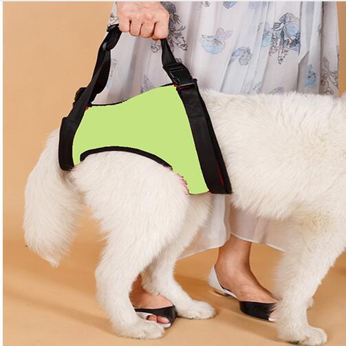 Dog Lifting Auxiliary Strap