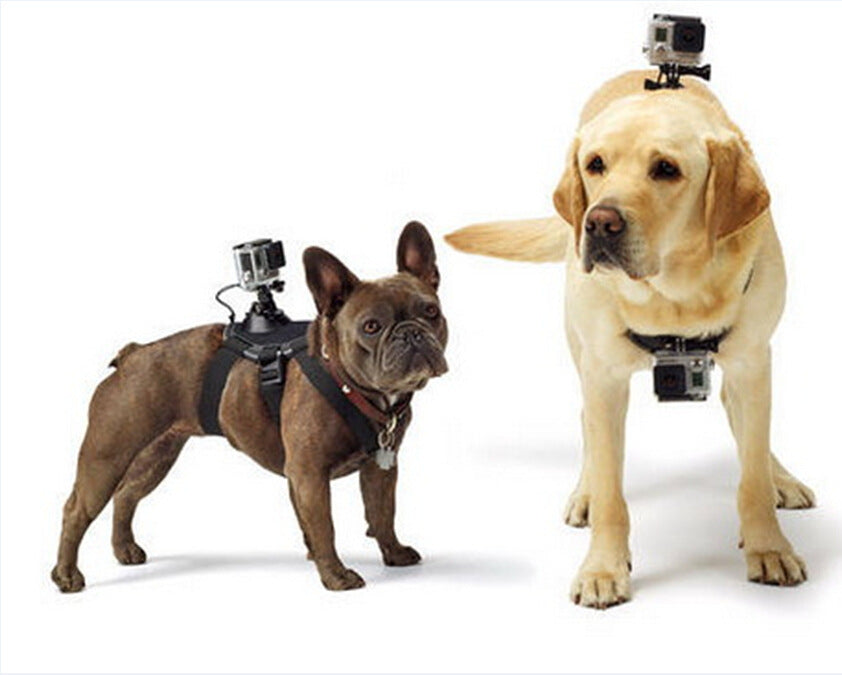 Camera Attachment Dog Vest