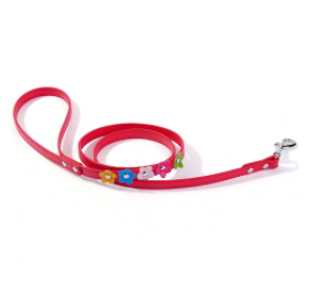 Double Row Flower Dog Collar