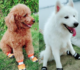 Winter Waterproof Dog Rain Shoes