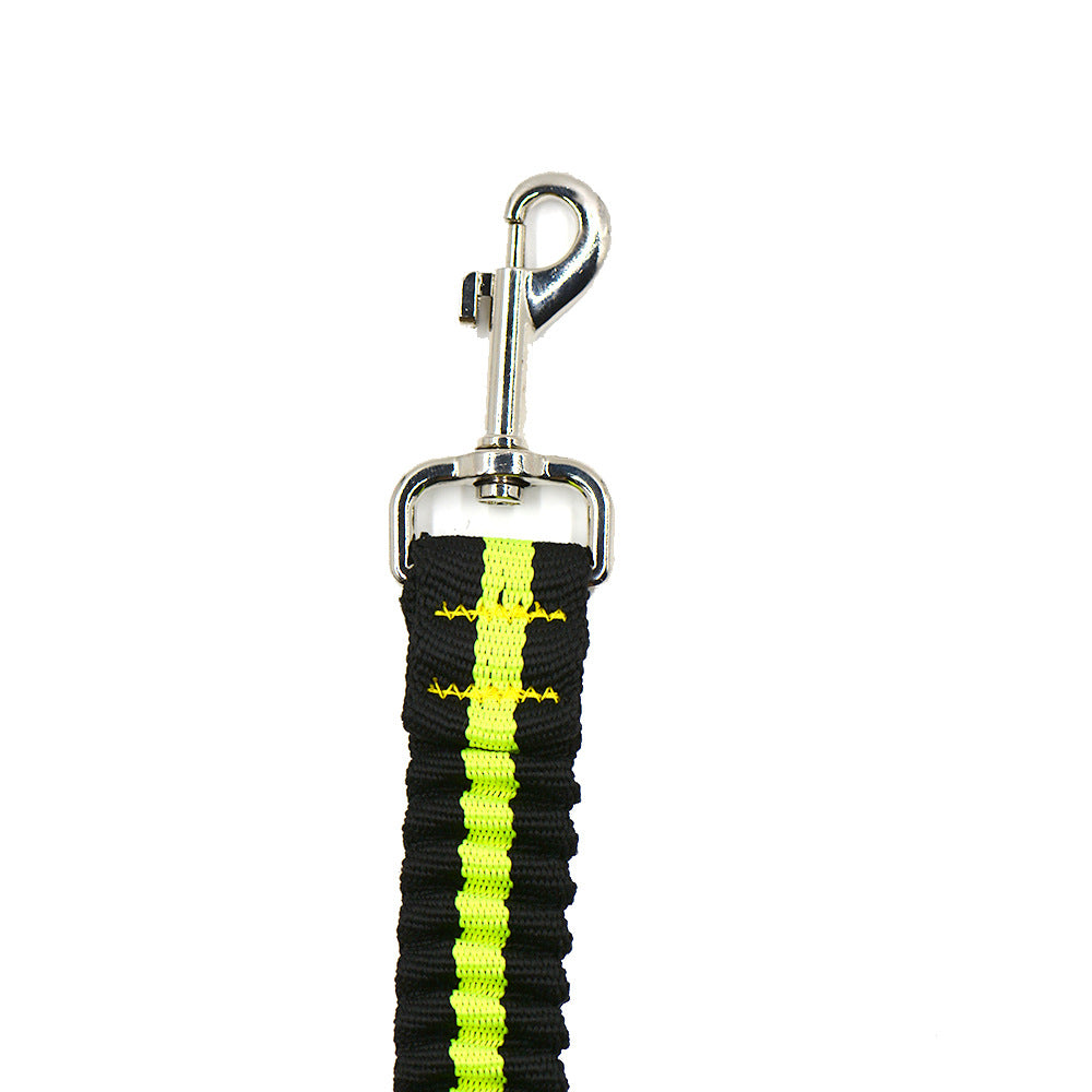 Double-Headed One-to-Two Nylon Dog Leash