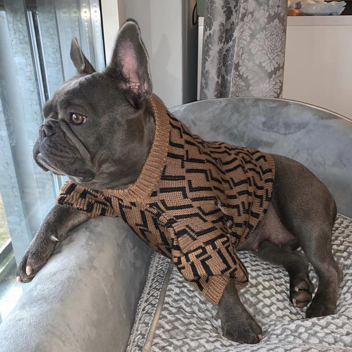 Medium & Large Puppy Casual Brown Fashion Sweater