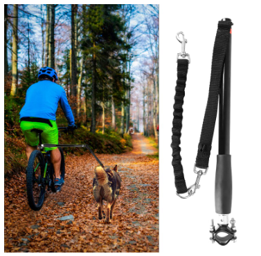 Bicycle Walking Dog Leash