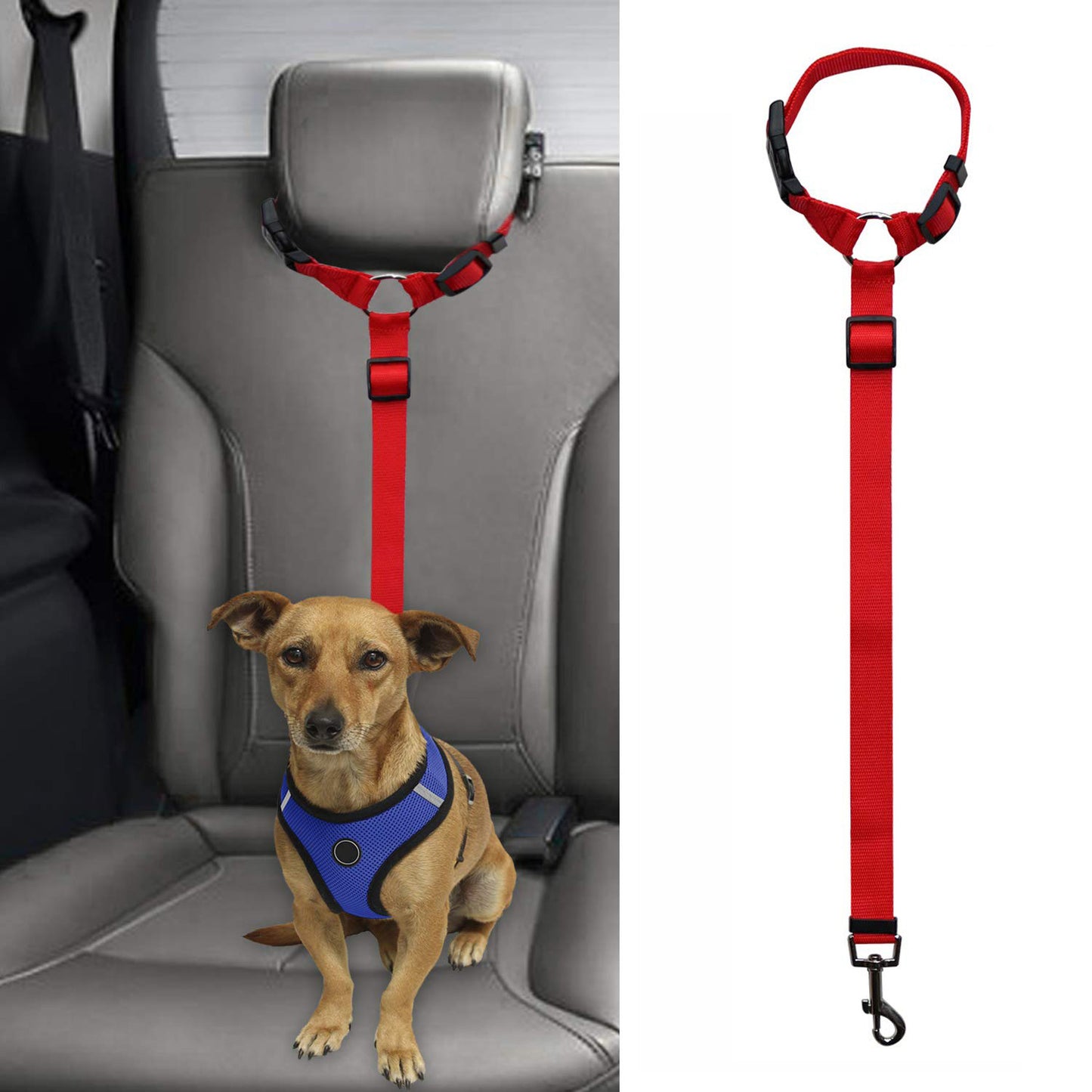 Dog Safety Leash