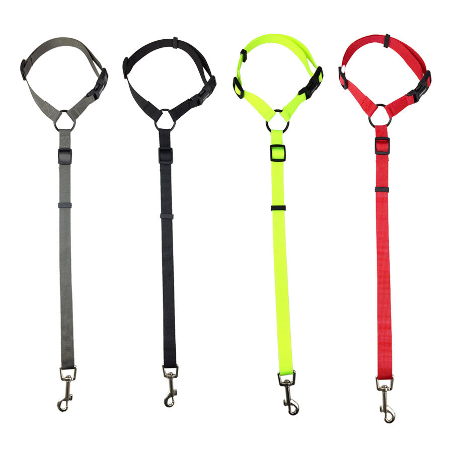 Dog Safety Leash