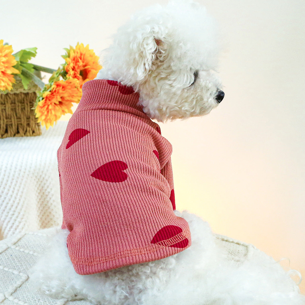 Cute Heart Pet Sweater