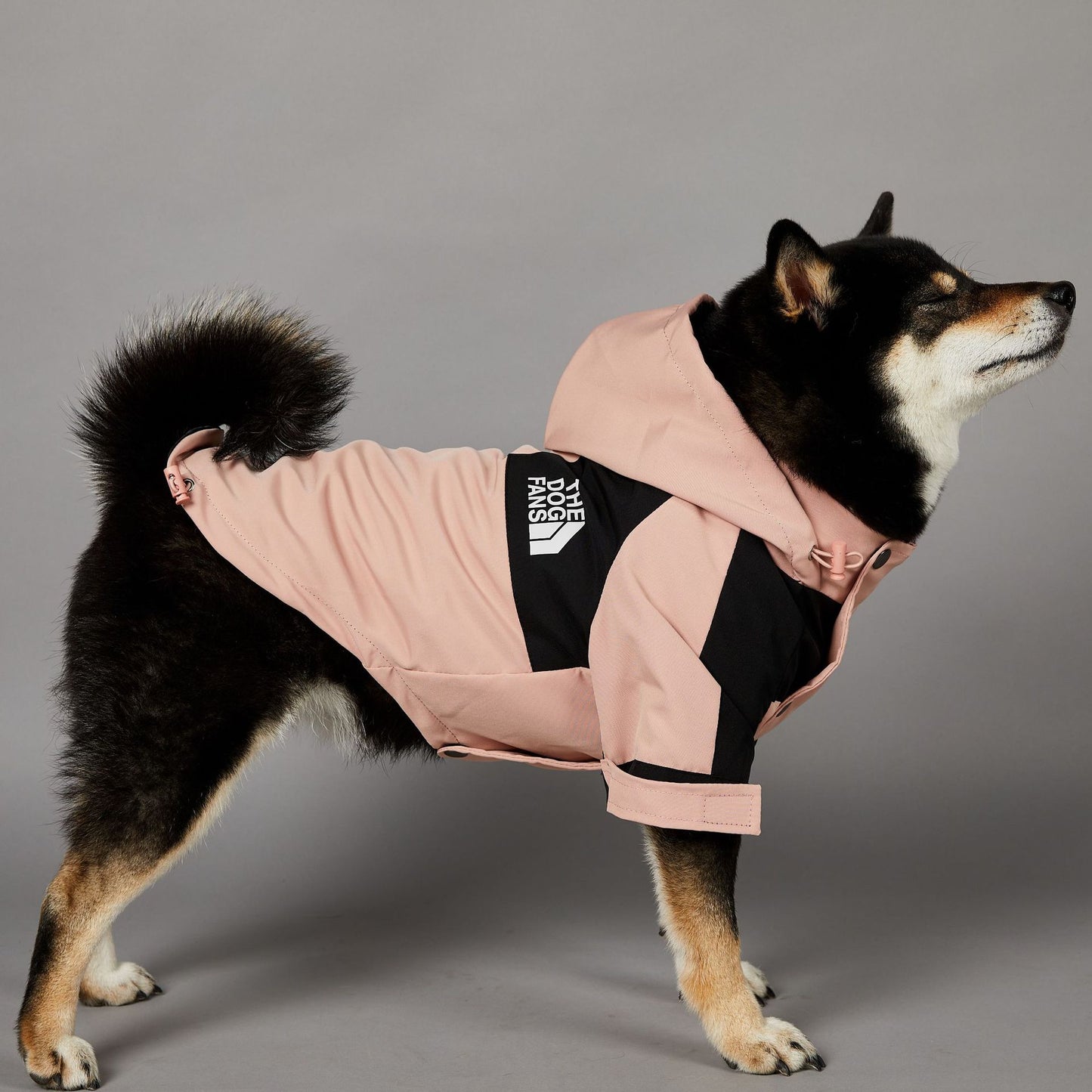 Windproof Large Dog Raincoat