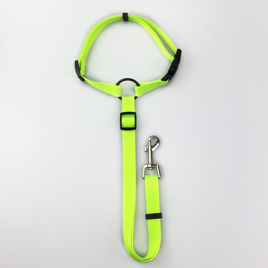 Dog Safety Leash