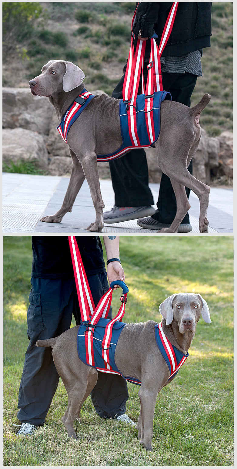 Shoulder Strap Lifting Dog Harness