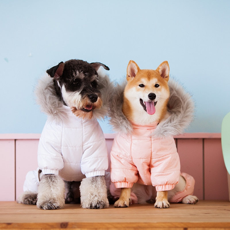 Stylish Puffer Dog Jacket