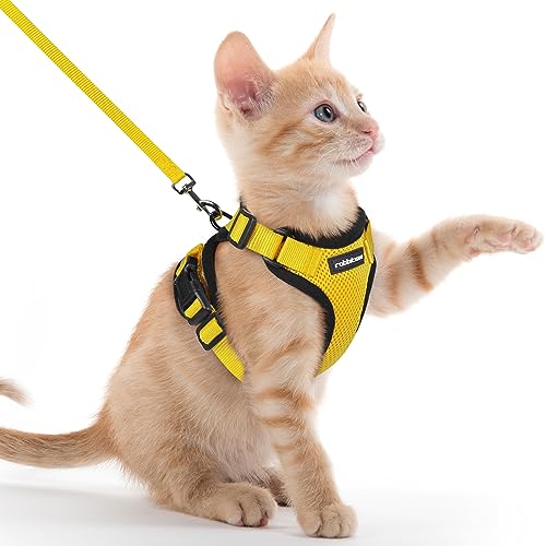 rabbitgoo Cat Harness and Leash for Walking, Escape Proof Soft Adjustable Vest