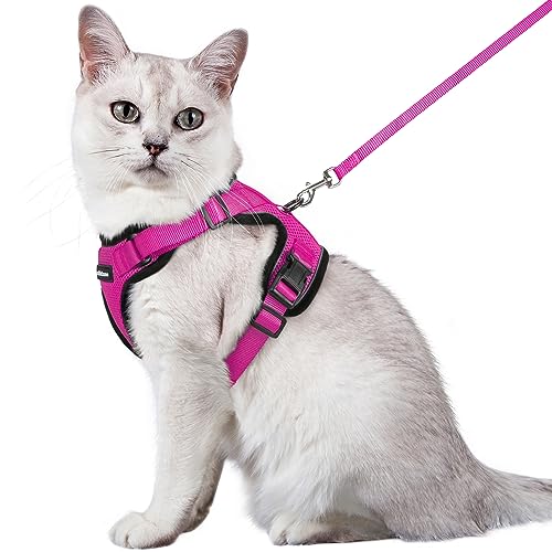 rabbitgoo Cat Harness and Leash for Walking, Escape Proof Soft Adjustable Vest