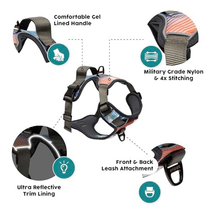 Embark Urban Dog Harness, No-Pull Reflective Trim Dog Harness for Small, Medium & Large Dogs - Heavy Duty Oxford, 2 Leash Clips & Gel Lined Handle.