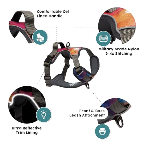 Embark Urban Dog Harness, No-Pull Reflective Trim Dog Harness for Small, Medium & Large Dogs - Heavy Duty Oxford, 2 Leash Clips & Gel Lined Handle.