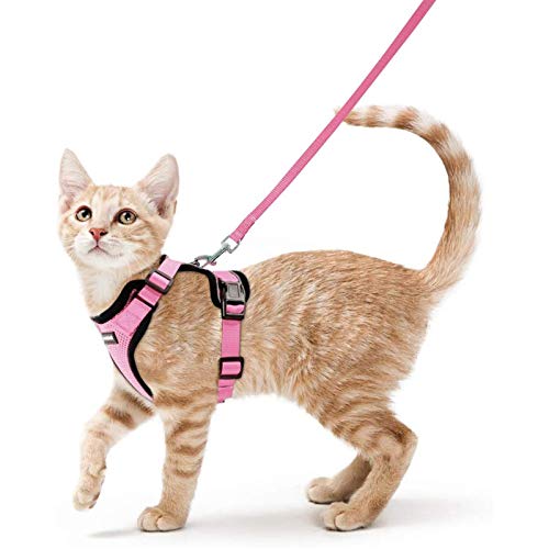 rabbitgoo Cat Harness and Leash for Walking, Escape Proof Soft Adjustable Vest