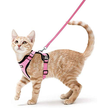 rabbitgoo Cat Harness and Leash for Walking, Escape Proof Soft Adjustable Vest