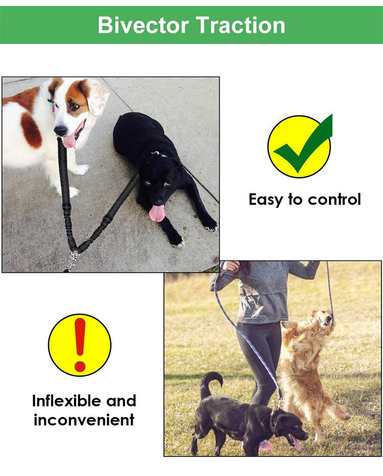 Multipurpose Dual Headed Dog Leash