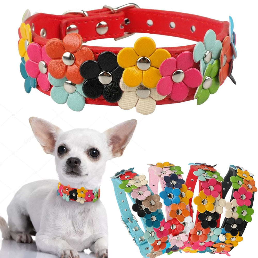 Double Row Flower Dog Collar