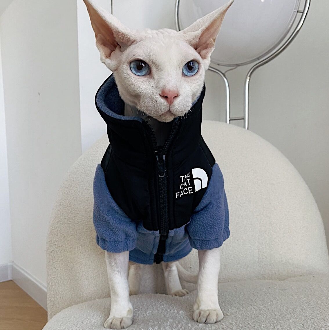 Warm Clothes Cat Jacket