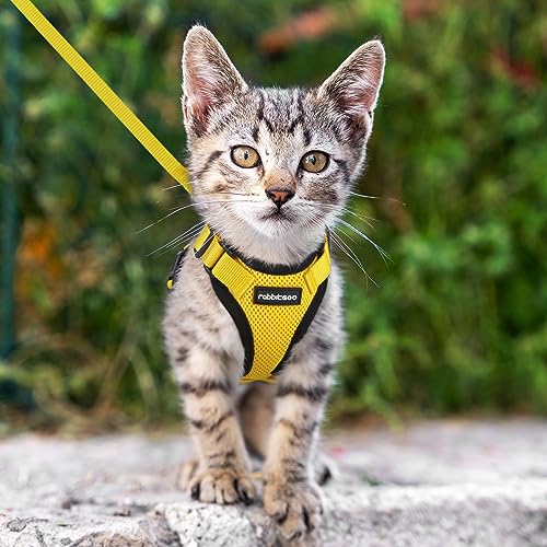 rabbitgoo Cat Harness and Leash for Walking, Escape Proof Soft Adjustable Vest