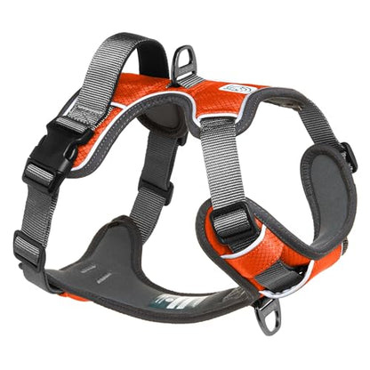 Embark Urban Dog Harness, No-Pull Reflective Trim Dog Harness for Small, Medium & Large Dogs - Heavy Duty Oxford, 2 Leash Clips & Gel Lined Handle.