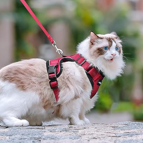 rabbitgoo Cat Harness and Leash for Walking, Escape Proof Soft Adjustable Vest