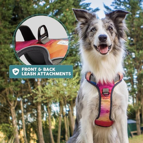 Embark Urban Dog Harness, No-Pull Reflective Trim Dog Harness for Small, Medium & Large Dogs - Heavy Duty Oxford, 2 Leash Clips & Gel Lined Handle.