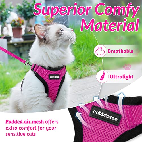 rabbitgoo Cat Harness and Leash for Walking, Escape Proof Soft Adjustable Vest