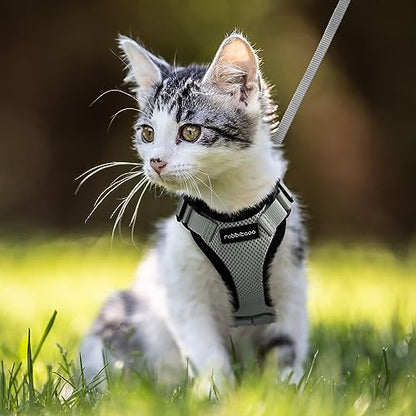 rabbitgoo Cat Harness and Leash for Walking, Escape Proof Soft Adjustable Vest