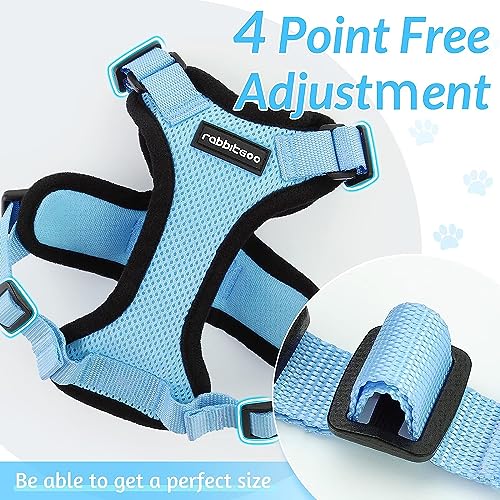 rabbitgoo Cat Harness and Leash for Walking, Escape Proof Soft Adjustable Vest