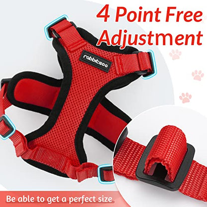 rabbitgoo Cat Harness and Leash for Walking, Escape Proof Soft Adjustable Vest