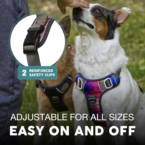 Embark Urban Dog Harness, No-Pull Reflective Trim Dog Harness for Small, Medium & Large Dogs - Heavy Duty Oxford, 2 Leash Clips & Gel Lined Handle.