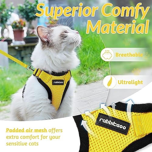 rabbitgoo Cat Harness and Leash for Walking, Escape Proof Soft Adjustable Vest