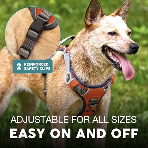 Embark Urban Dog Harness, No-Pull Reflective Trim Dog Harness for Small, Medium & Large Dogs - Heavy Duty Oxford, 2 Leash Clips & Gel Lined Handle.