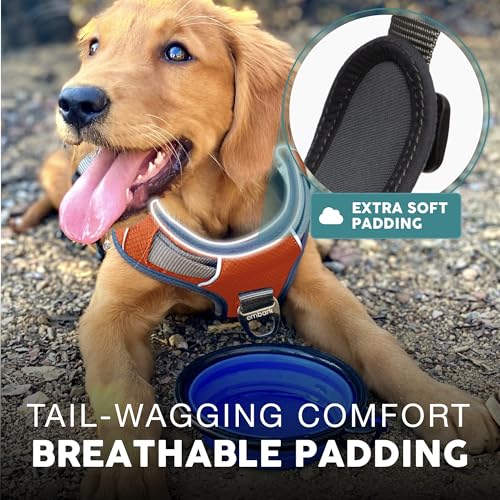 Embark Urban Dog Harness, No-Pull Reflective Trim Dog Harness for Small, Medium & Large Dogs - Heavy Duty Oxford, 2 Leash Clips & Gel Lined Handle.