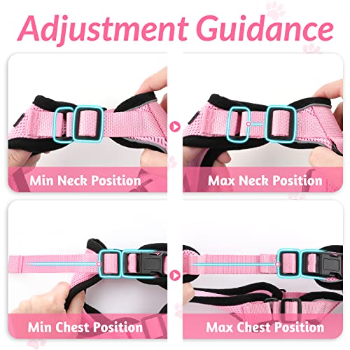 rabbitgoo Cat Harness and Leash for Walking, Escape Proof Soft Adjustable Vest