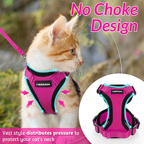 rabbitgoo Cat Harness and Leash for Walking, Escape Proof Soft Adjustable Vest