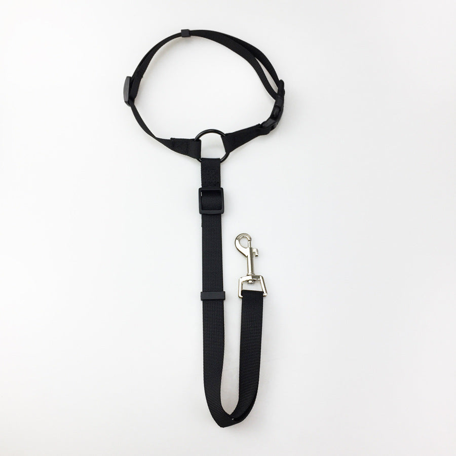 Dog Safety Leash