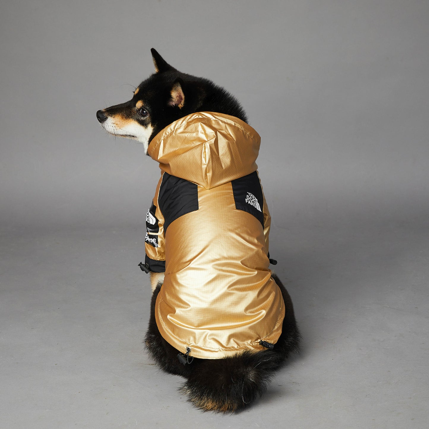 Winter Rainproof Dog Jacket