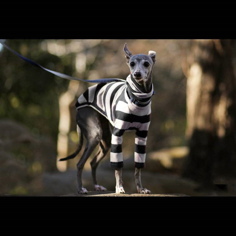 Striped Two-legged High Necked Dog Coat