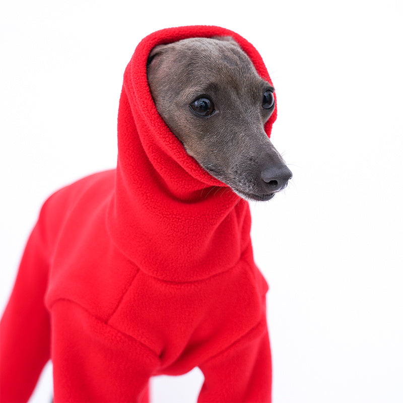 Four Leg Dog Clothing