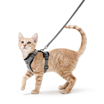 rabbitgoo Cat Harness and Leash for Walking, Escape Proof Soft Adjustable Vest