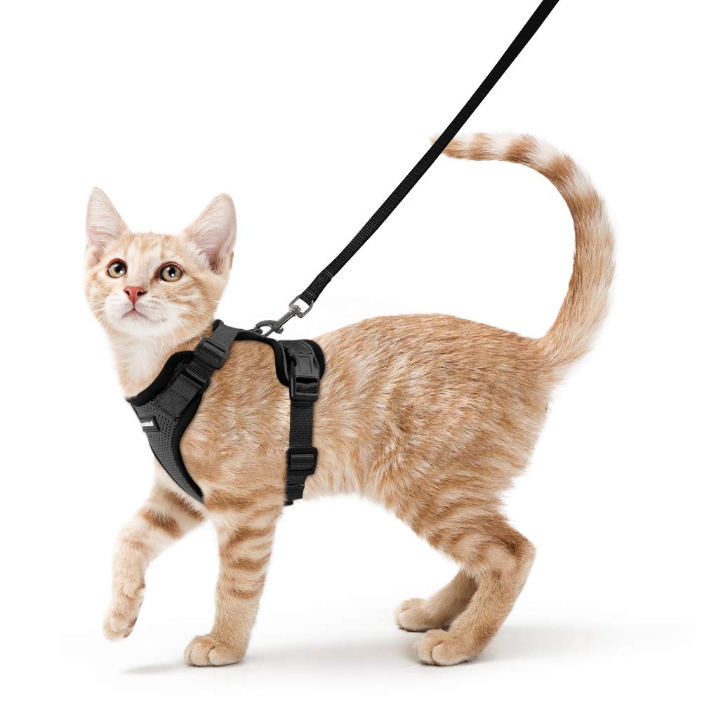 rabbitgoo Cat Harness and Leash for Walking, Escape Proof Soft Adjustable Vest