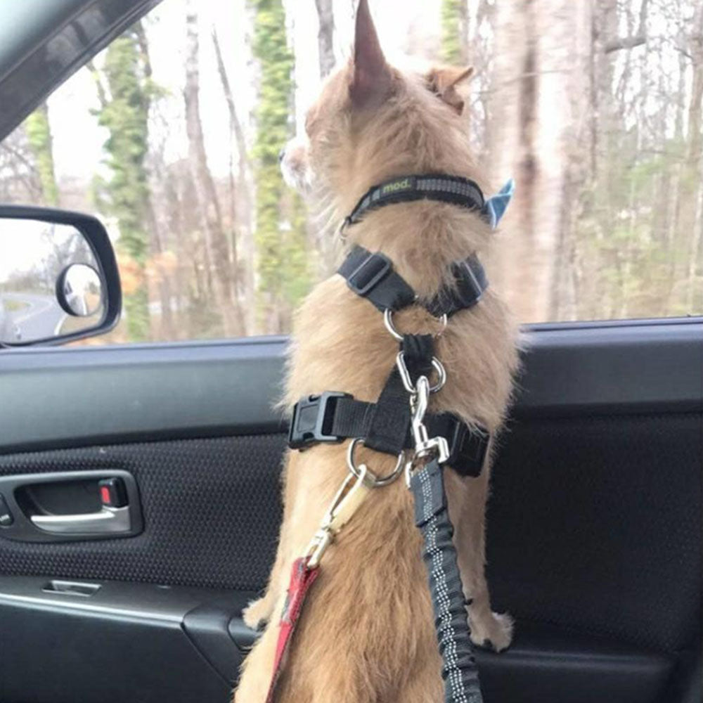 Adjustable Dog Car Seat Belt