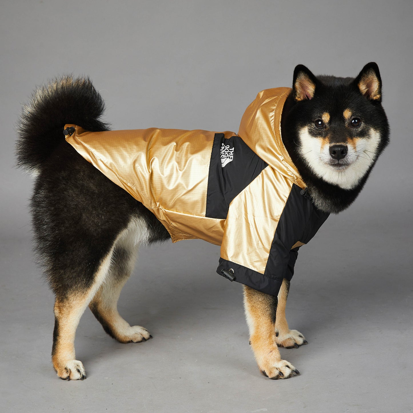 Winter Rainproof Dog Jacket