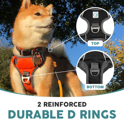 Embark Urban Dog Harness, No-Pull Reflective Trim Dog Harness for Small, Medium & Large Dogs - Heavy Duty Oxford, 2 Leash Clips & Gel Lined Handle.