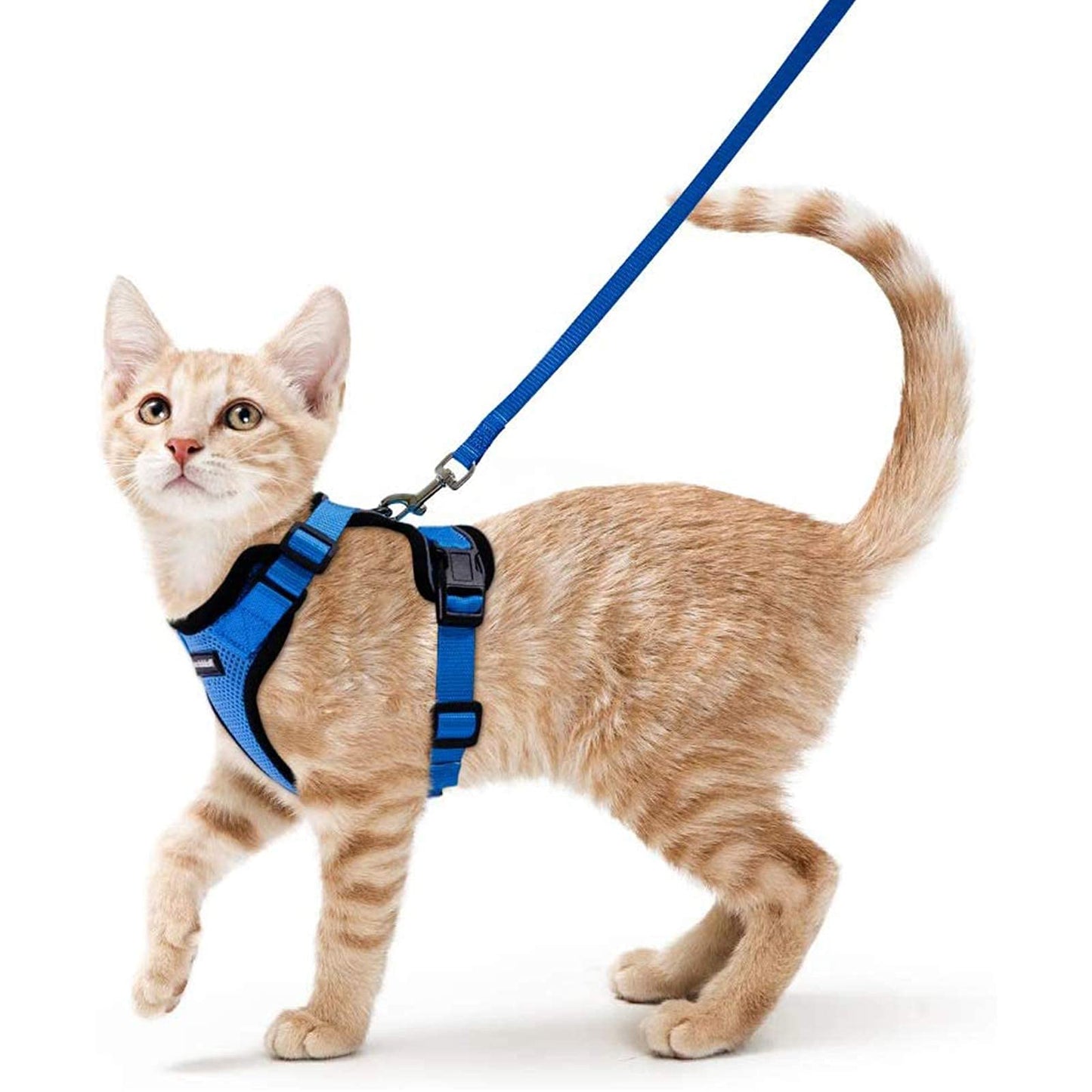 rabbitgoo Cat Harness and Leash for Walking, Escape Proof Soft Adjustable Vest